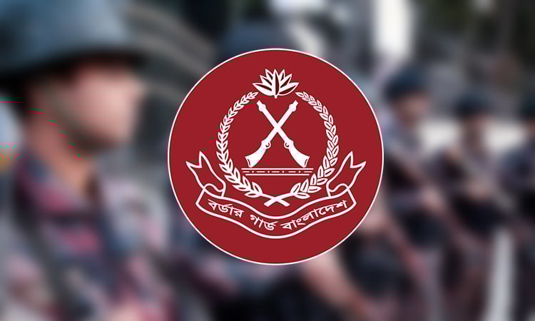 পাথর ও বালু উত্তোলন বন্ধ ও স্টোন ক্রাশার মেশিনের বিরুদ্ধে বিজিবি'র টাস্কফোর্স অভিযান 